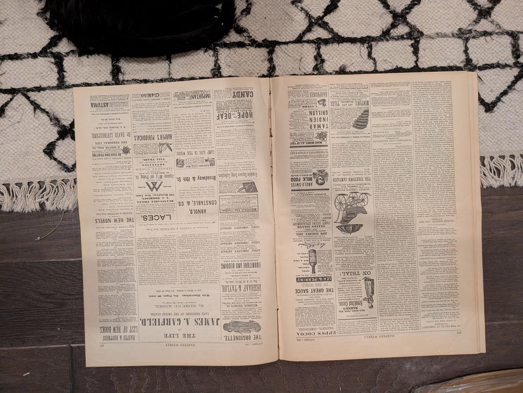 1881 Nast Weeping Liberty, Garfield Death Bed, Arthur Takes Oath, Mother — Oct 1