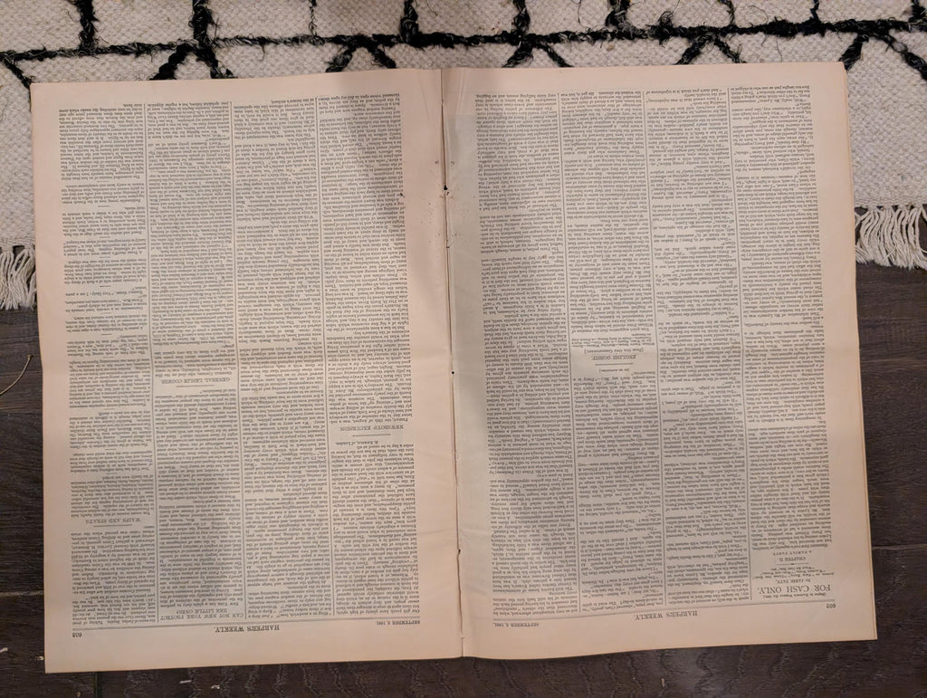 1881 Mauna Loa Lava Flow Hawaii, Newsboys Excursion, Colorado Travel — Sept 3