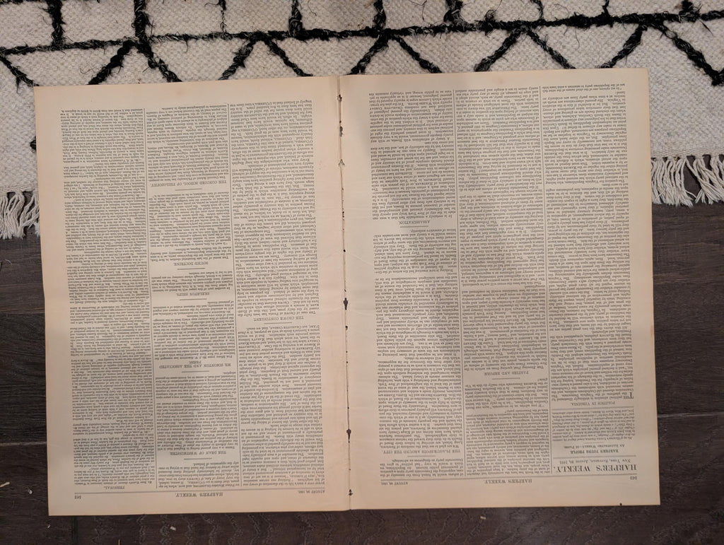 1881 Nast "Clean Sweep NYC," Hunter's Point Sick Room, Negro Laborers Hudson — Aug 20