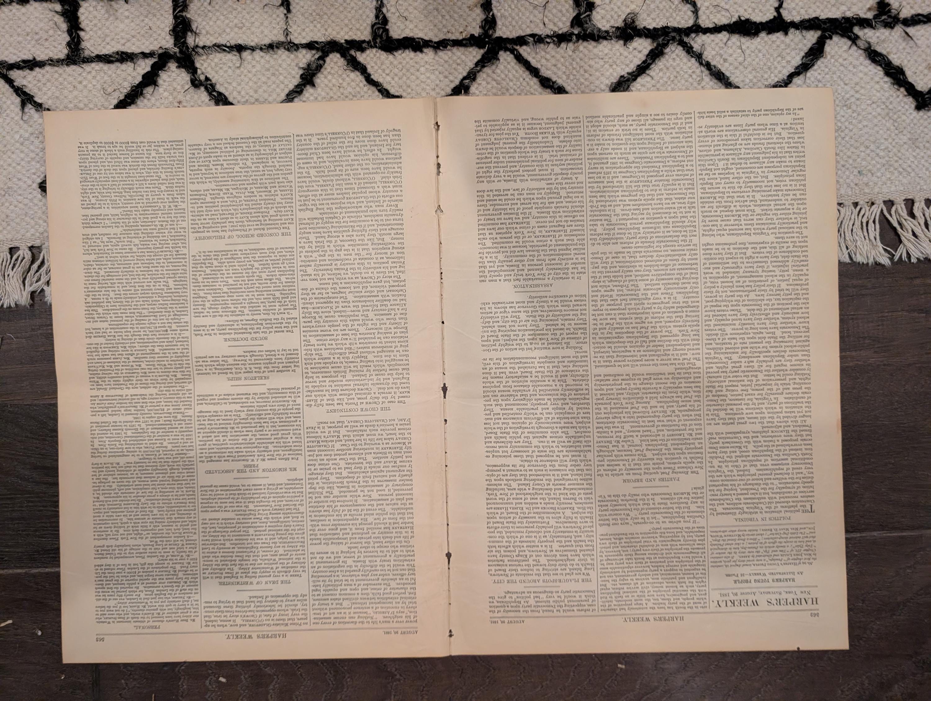 1881 Nast "Clean Sweep NYC," Hunter's Point Sick Room, Negro Laborers Hudson — Aug 20