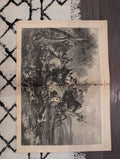 1874 Wild Boar Hunt Centerfold, Louisiana Outrages, Rifle Match — Oct 10