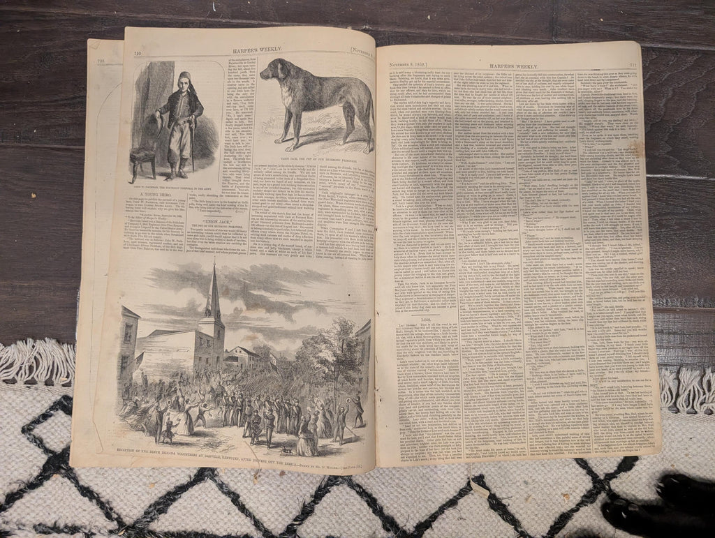 Harper’s Weekly – November 8, 1862 – Mrs. Lincoln • Rosecrans • “Negroes Driven South” Centerfold
