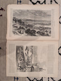 1877 Camel Train Nevada, Nast Britannia & Grant, Sukhum Black Sea — Jun 30