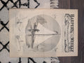 1881 Ice Yachting Hudson River, Chichester Cathedral, Stranded Steamship, Lima Peru — Feb 19