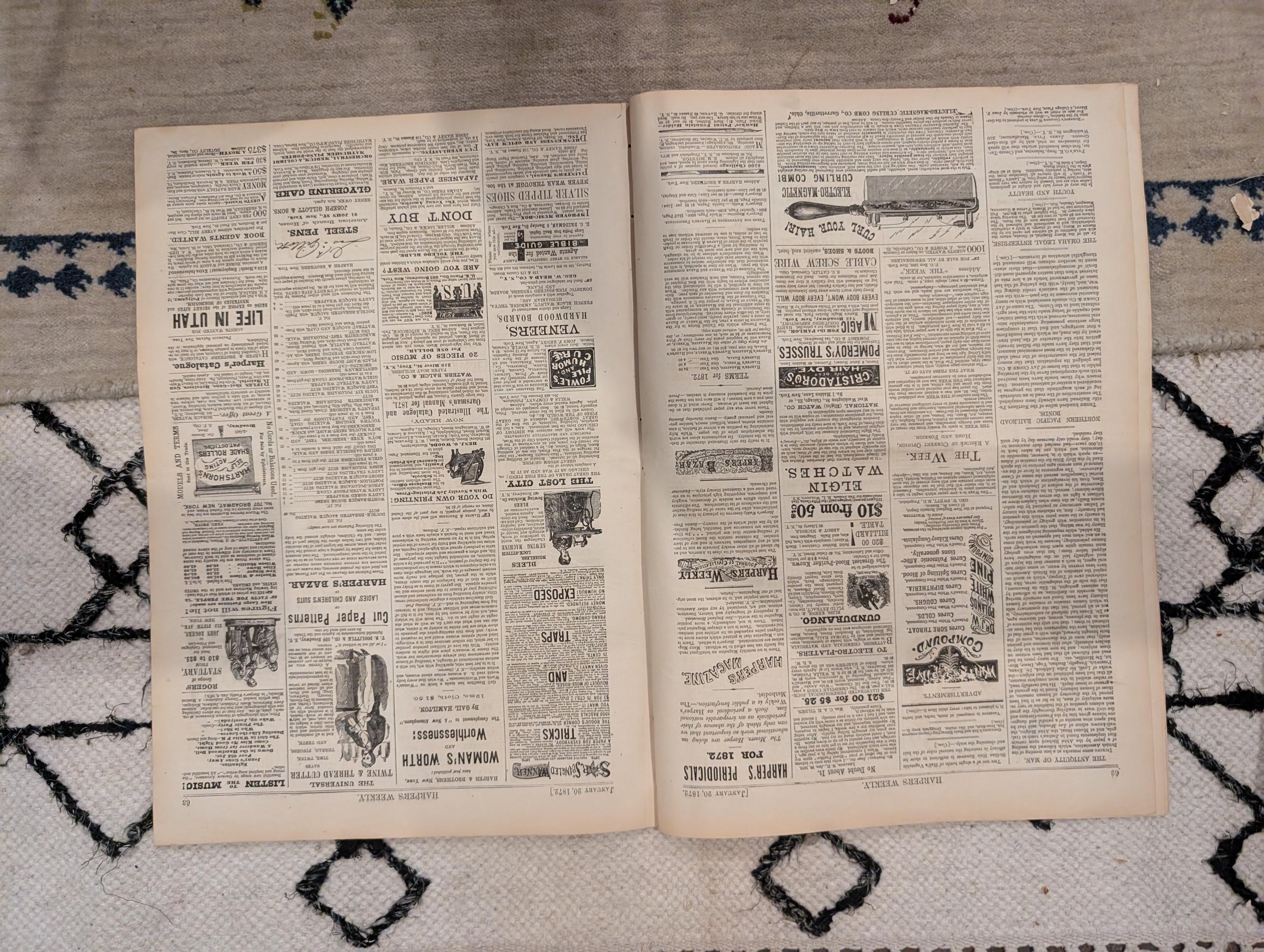 1872 James Fisk Harper's Weekly January 20 Home for Lost Dogs