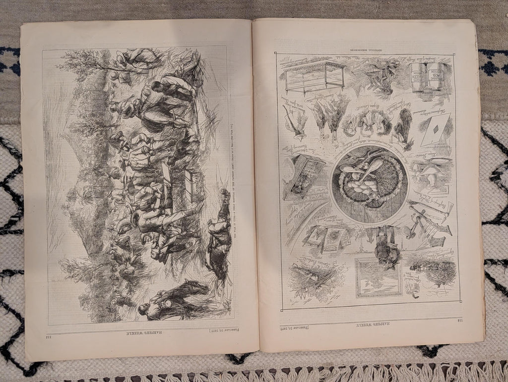 1877 Nast Boss Tweed, Mammoth Cave, Challenger in Japan, Hawaii — Feb 10