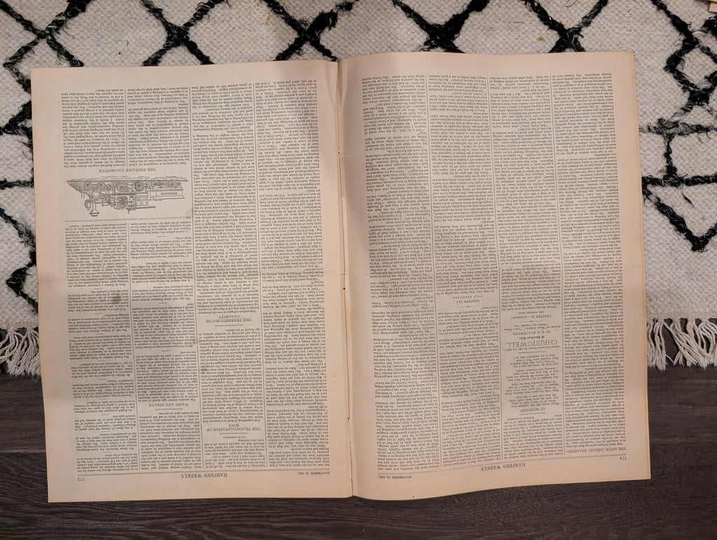 1881 America's Cup Race, Grand Street Tenement Disaster, Shore Shooting — Nov 19