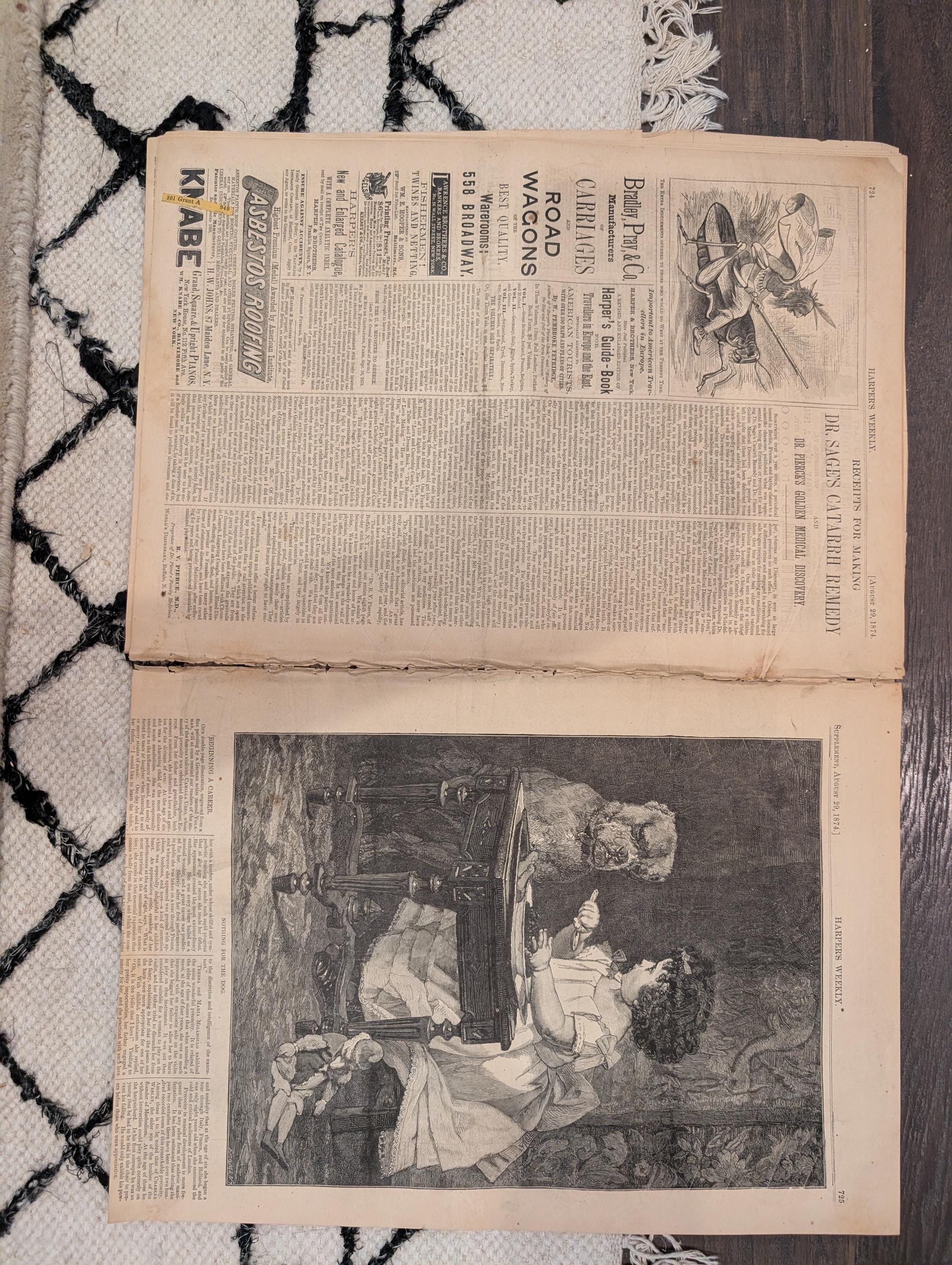 1874 Nast Freedom Jubilee Pardon · Warwick Castle · Blackberries — Harper's Weekly Aug 29