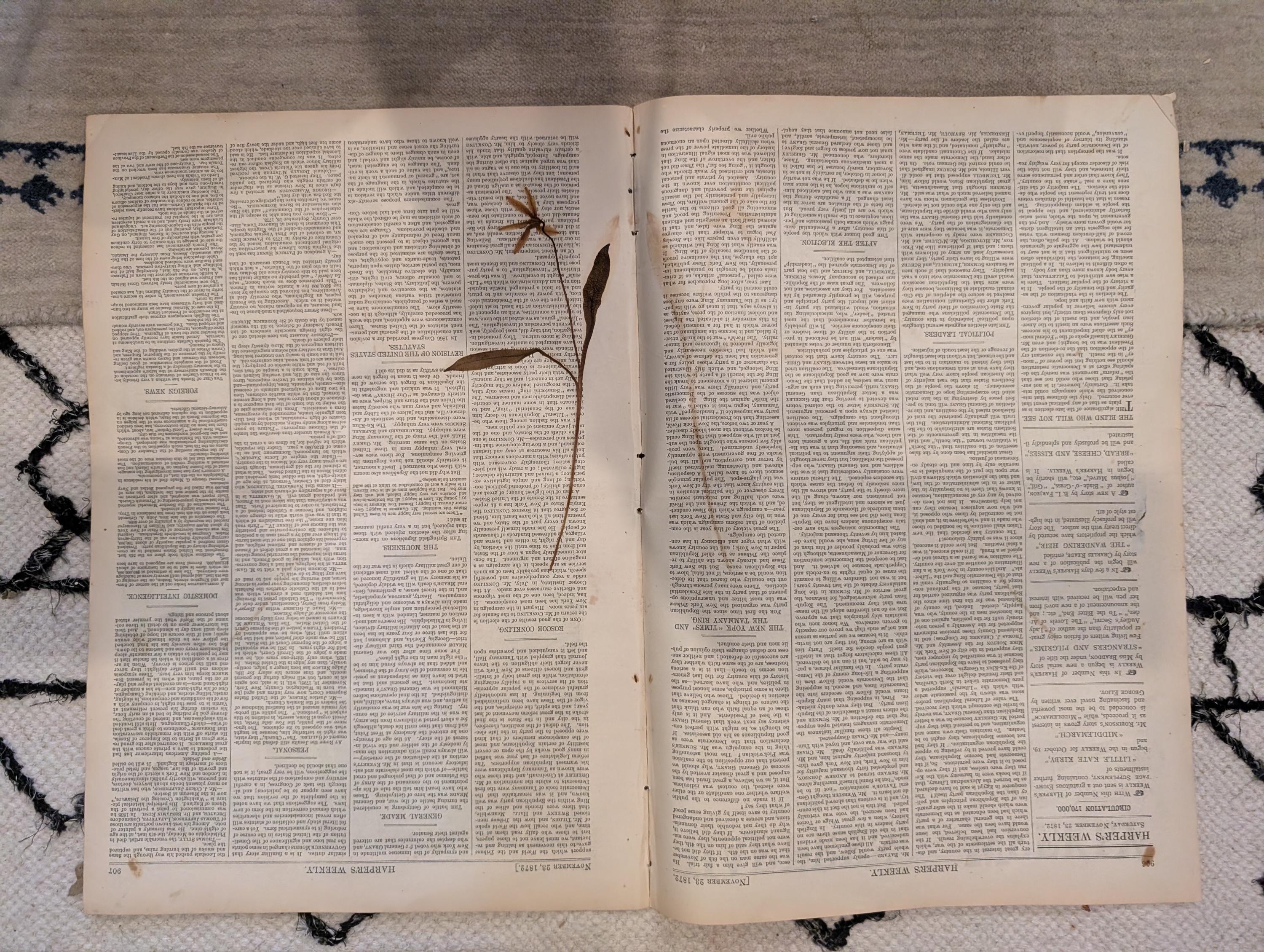 1872 Nast Clasping Hands Harper's Weekly Nov 23 Horse Plague Darjeeling