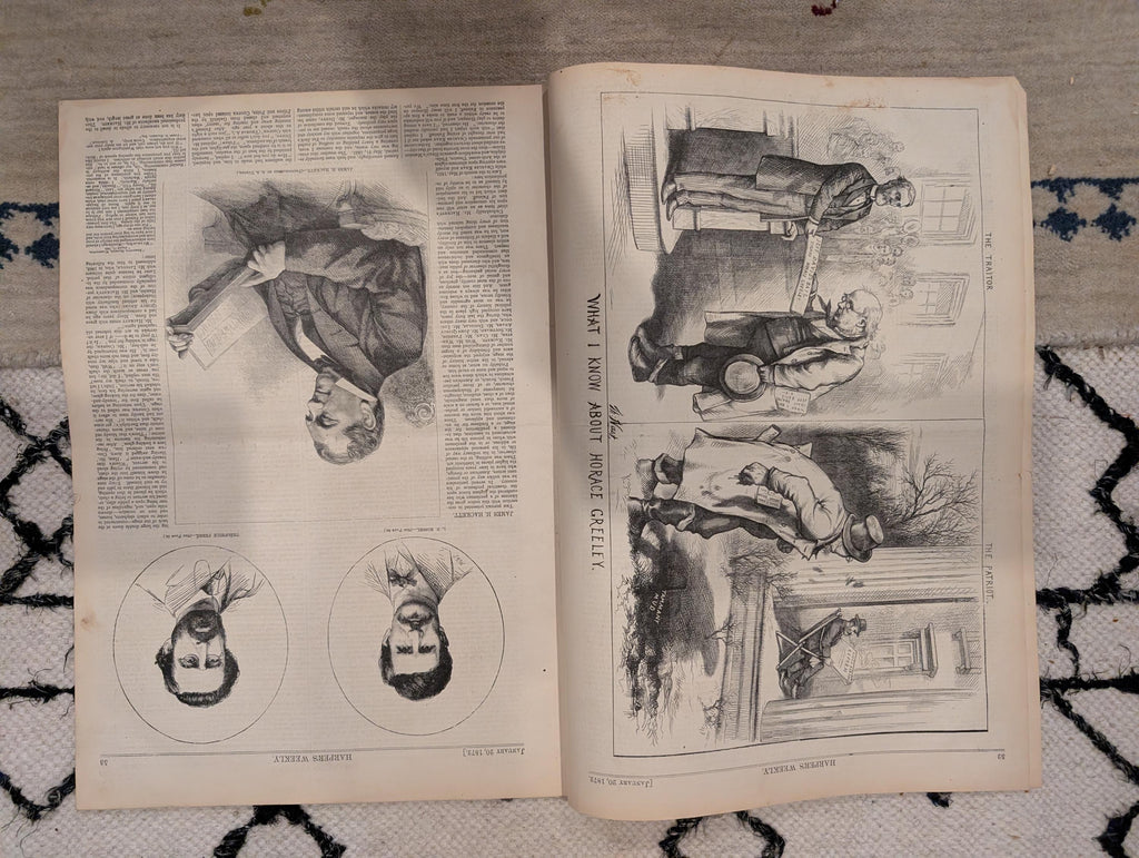 1872 James Fisk Harper's Weekly January 20 Home for Lost Dogs