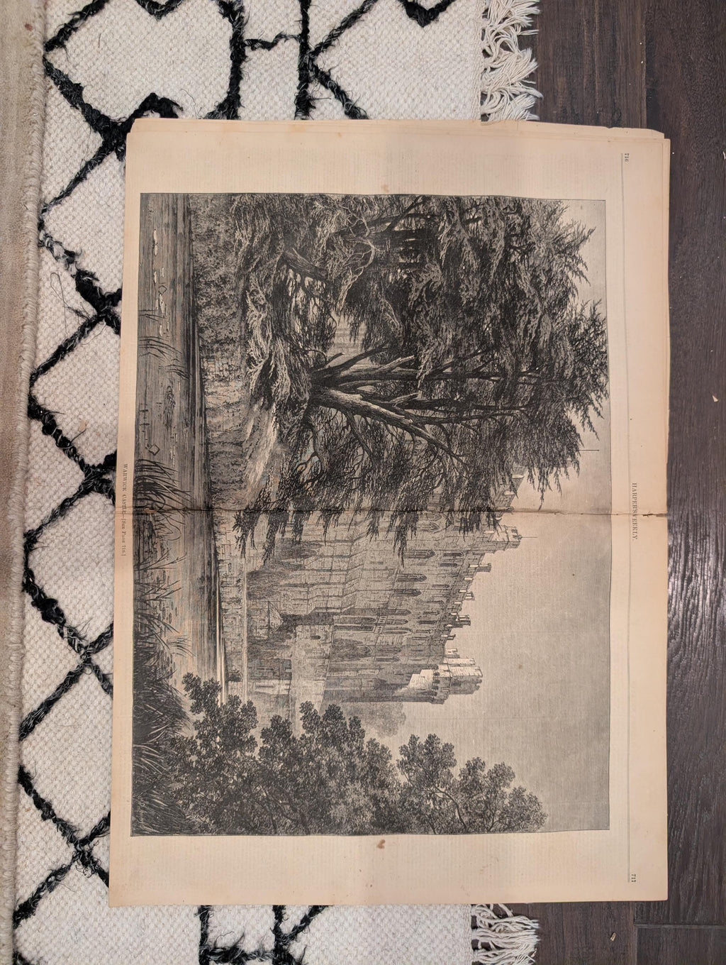 1874 Nast Freedom Jubilee Pardon · Warwick Castle · Blackberries — Harper's Weekly Aug 29