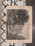 1874 Nast Freedom Jubilee Pardon · Warwick Castle · Blackberries — Harper's Weekly Aug 29