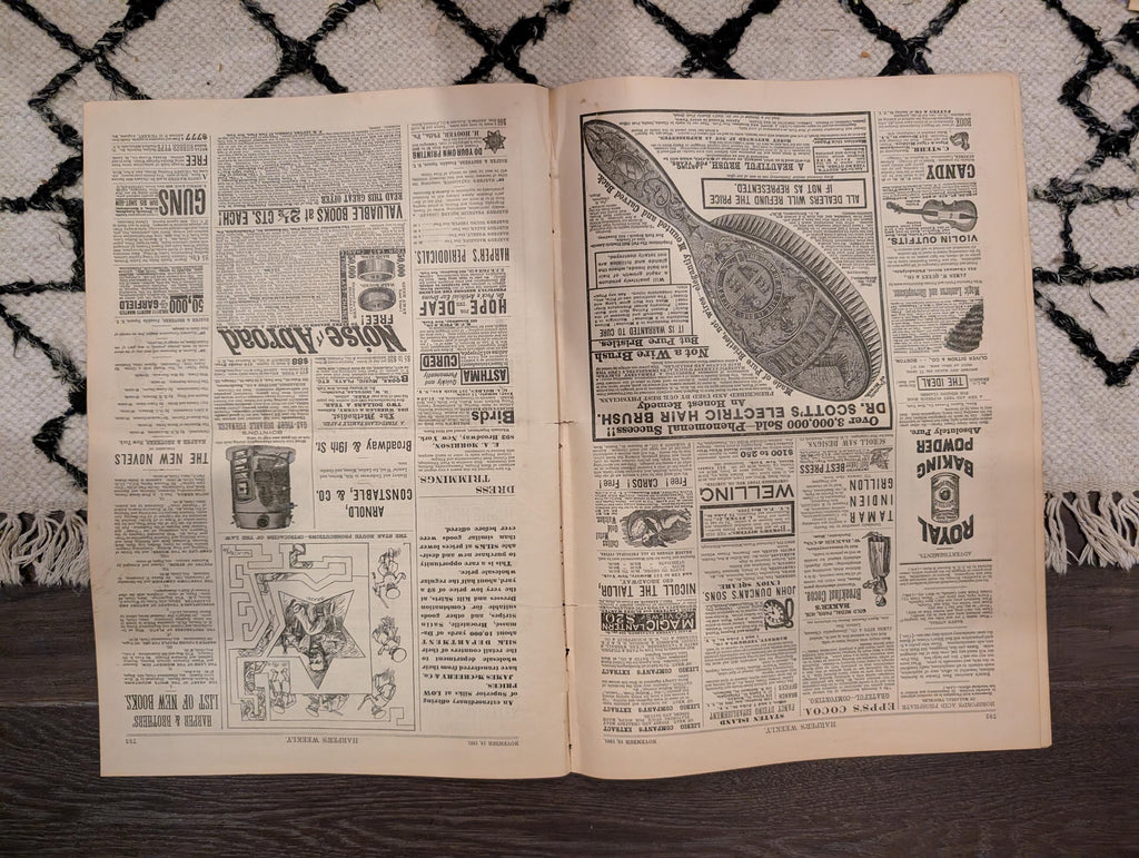 1881 America's Cup Race, Grand Street Tenement Disaster, Shore Shooting — Nov 19