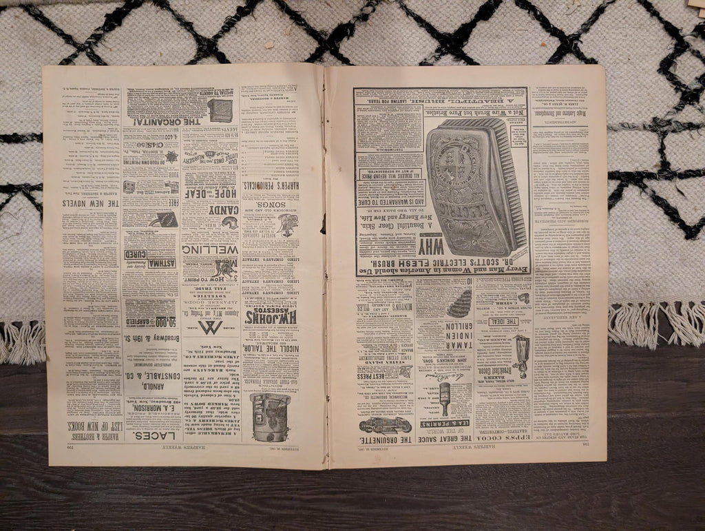 1881 Guiteau Trial, Nast Double, HMS Inflexible, Thanksgiving, Alliance Cruise — Nov 26
