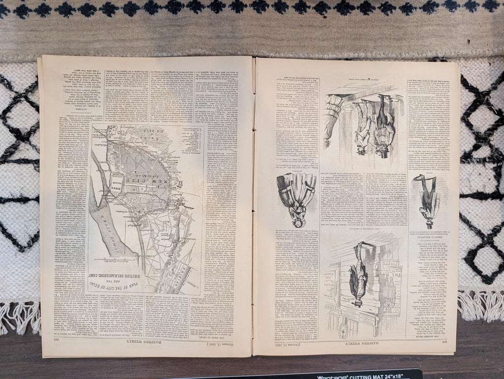 1857 Central America Survivor Harper's Weekly October 17 British Lion Bengal Tiger