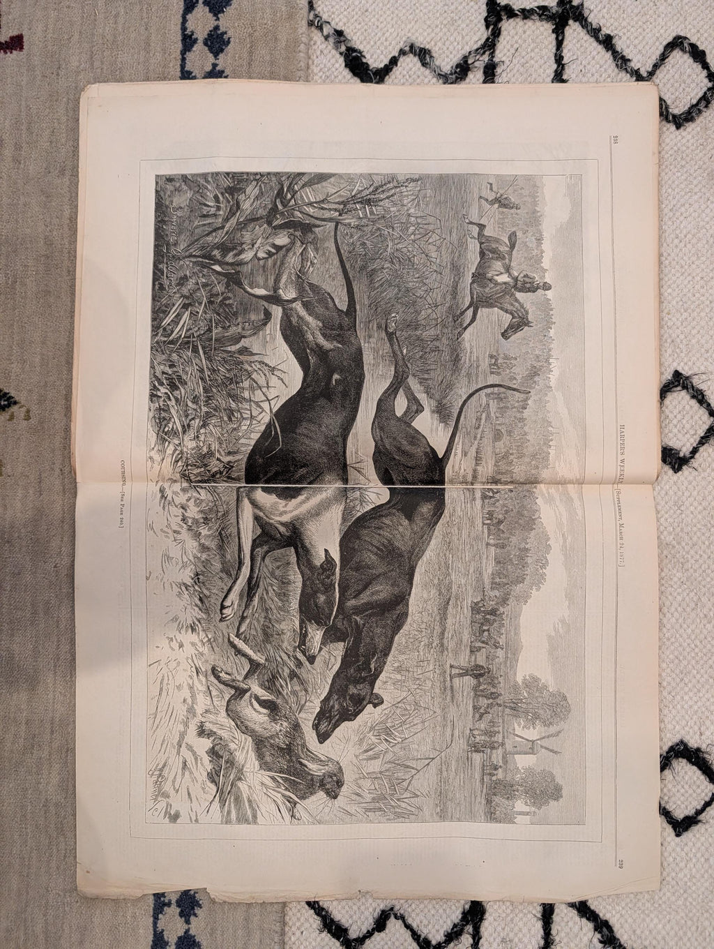 1877 Hayes Inauguration, Wounded GOP Elephant Nast, Coyotes — Mar 24