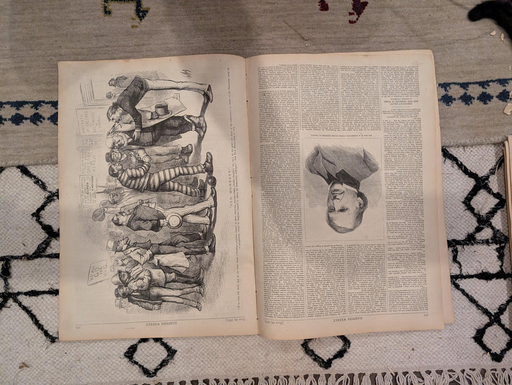 1872 Diamond Fields South Africa Harper's Weekly July 20 Thomas Nast