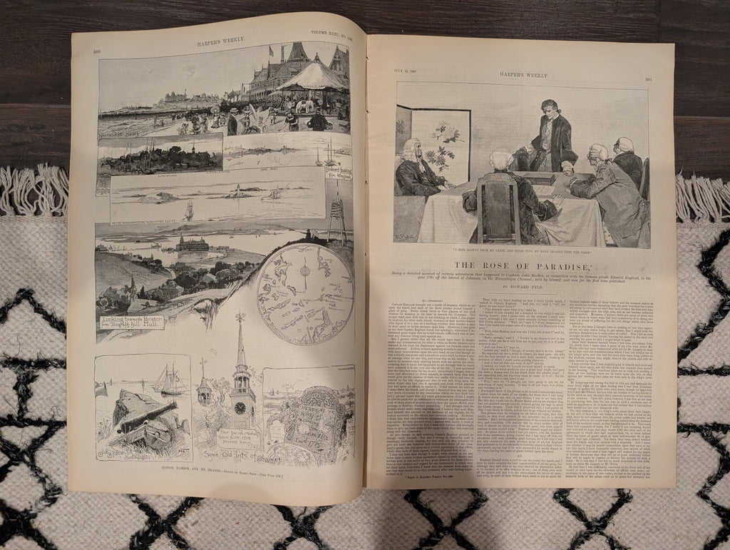 HARPER’S WEEKLY — July 16, 1887, Coney Island Front Page • “Art and Nature at the West End of Coney Island” • Montgomery, Alabama Supplement