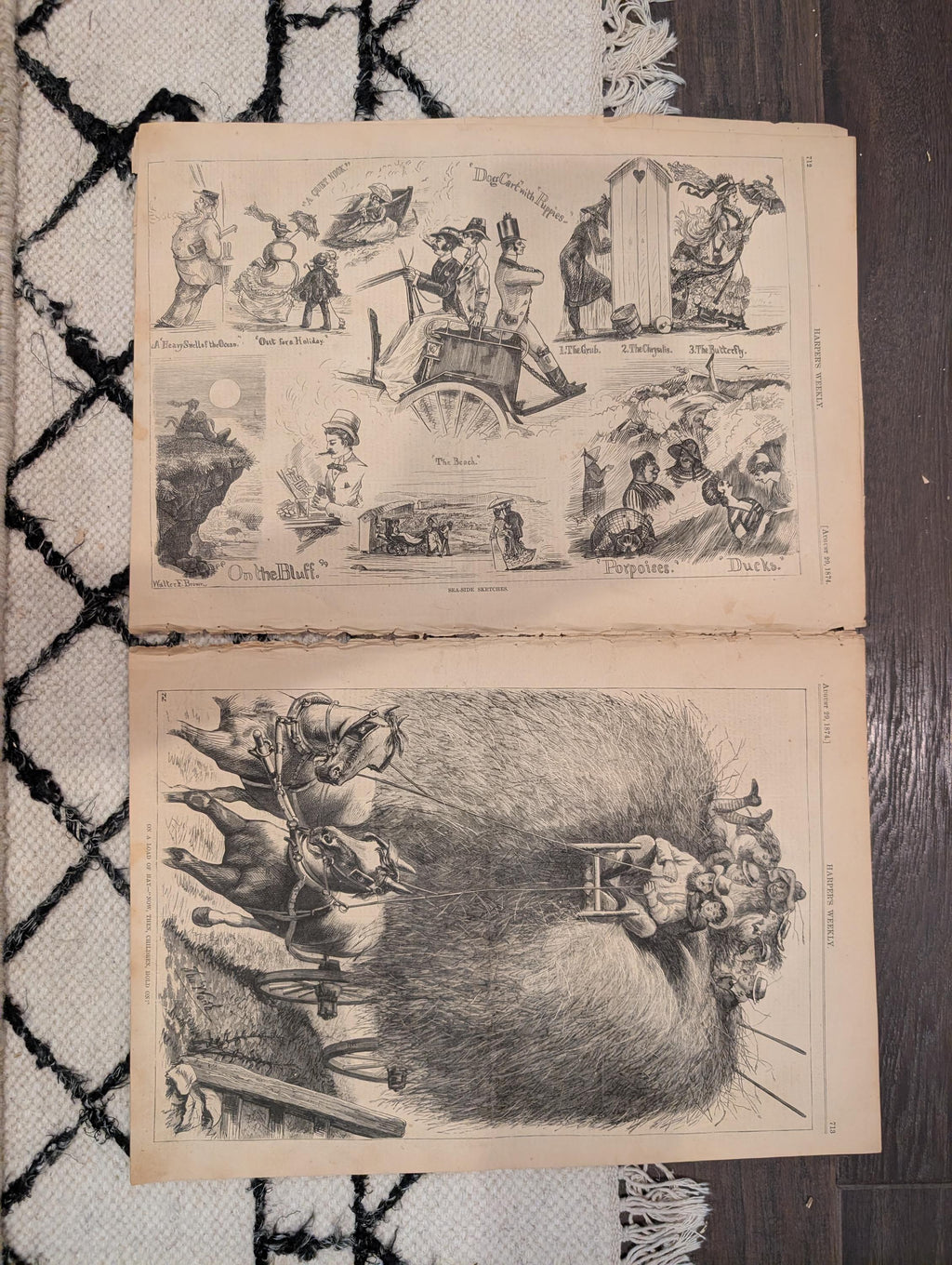 1874 Nast Freedom Jubilee Pardon · Warwick Castle · Blackberries — Harper's Weekly Aug 29