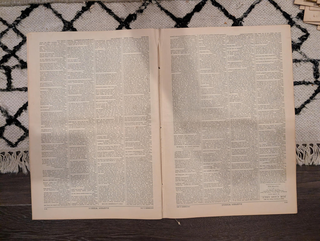 1881 Guiteau Trial Dominates, Statue of Liberty First Rivet, Franz Liszt — Dec 3