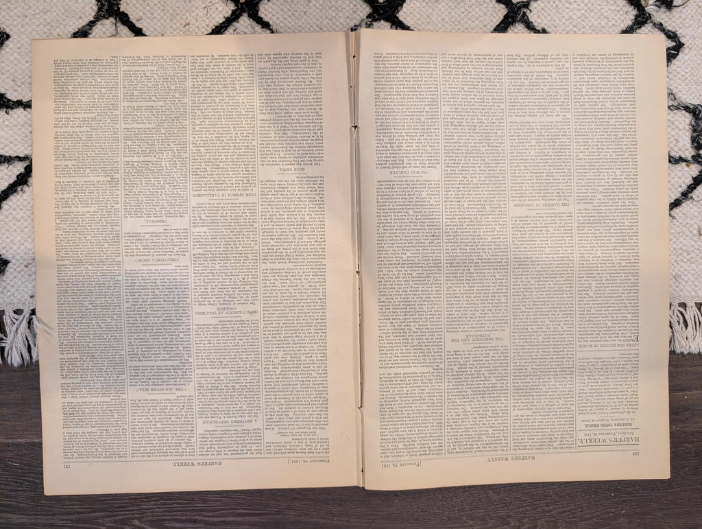 1881 Nast Interior Investigation, Bowery NYC, Valentine's Day, Bicycles vs Skates — Feb 26