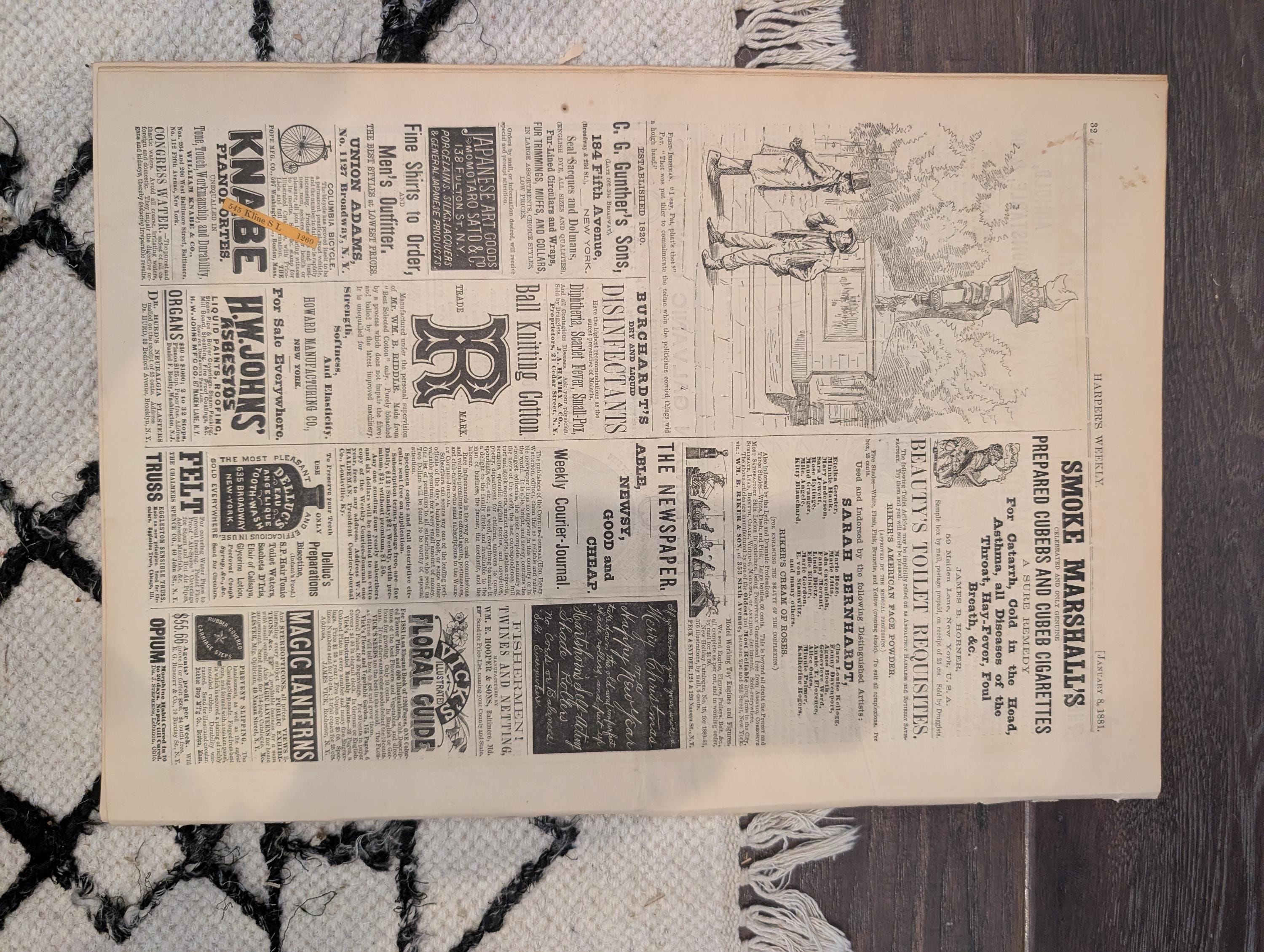 1881 Nast "Ring Out Old Ring in New," New Year's Prosperity Adversity, Nubia Cave — Jan 8