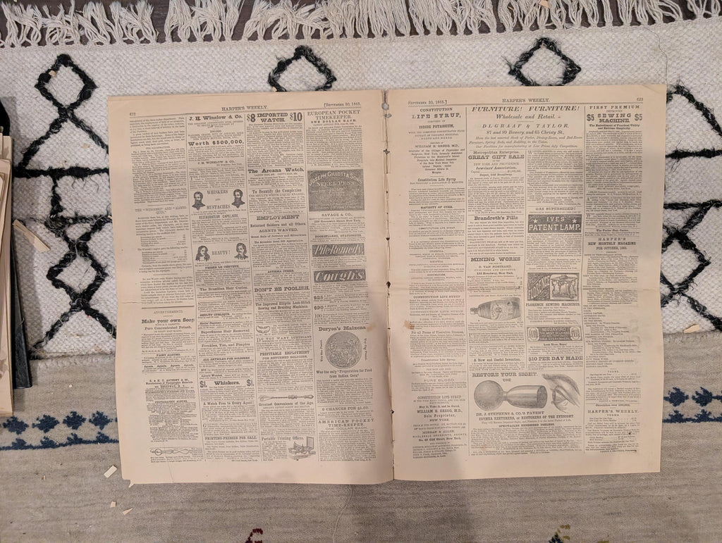 1865 Harper's Weekly — Amy Spain Hanging, Freedmen's Village, Naval Festival, Sept 30