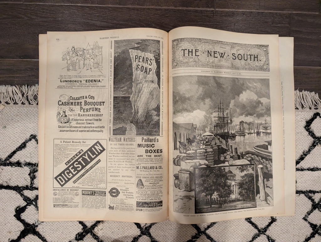 HARPER’S WEEKLY — July 16, 1887, Coney Island Front Page • “Art and Nature at the West End of Coney Island” • Montgomery, Alabama Supplement