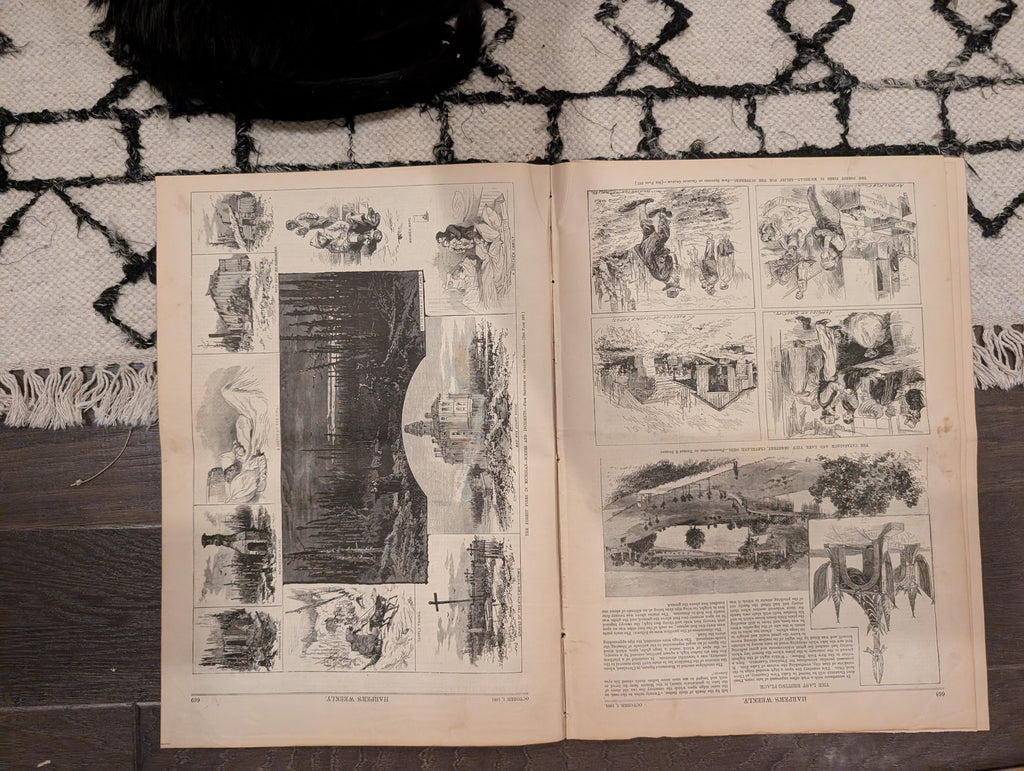 1881 Nast Weeping Liberty, Garfield Death Bed, Arthur Takes Oath, Mother — Oct 1