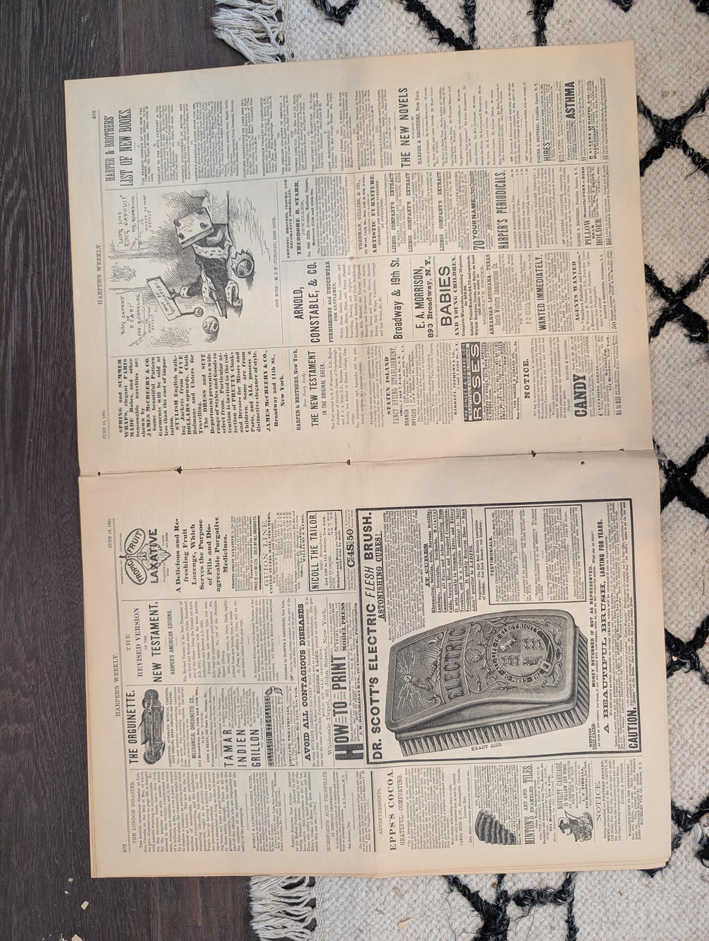 1881 Ohio River Paddlewheeler, Victoria Steamboat Wreck, Bicycle Parade, Nast — Jun 18