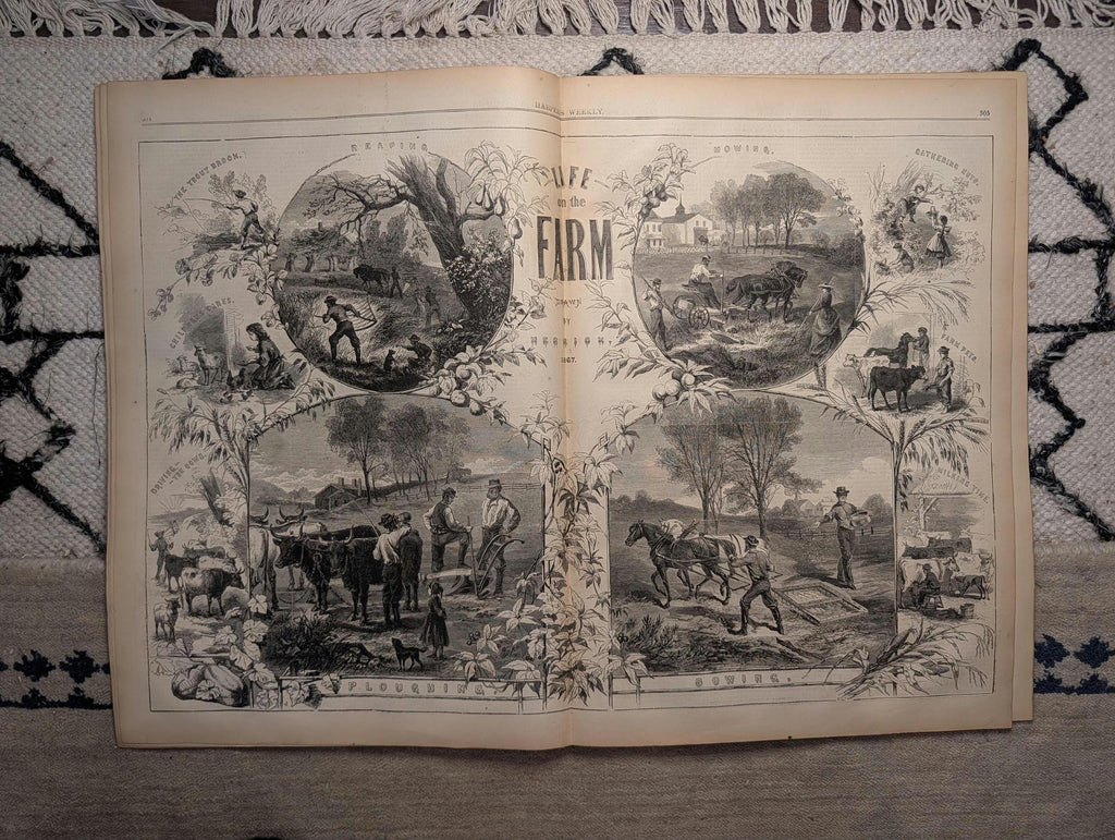 1867 Queretaro Mexico, Farm Life Centerfold, Vera Cruz, Sing-Sing — Aug 10