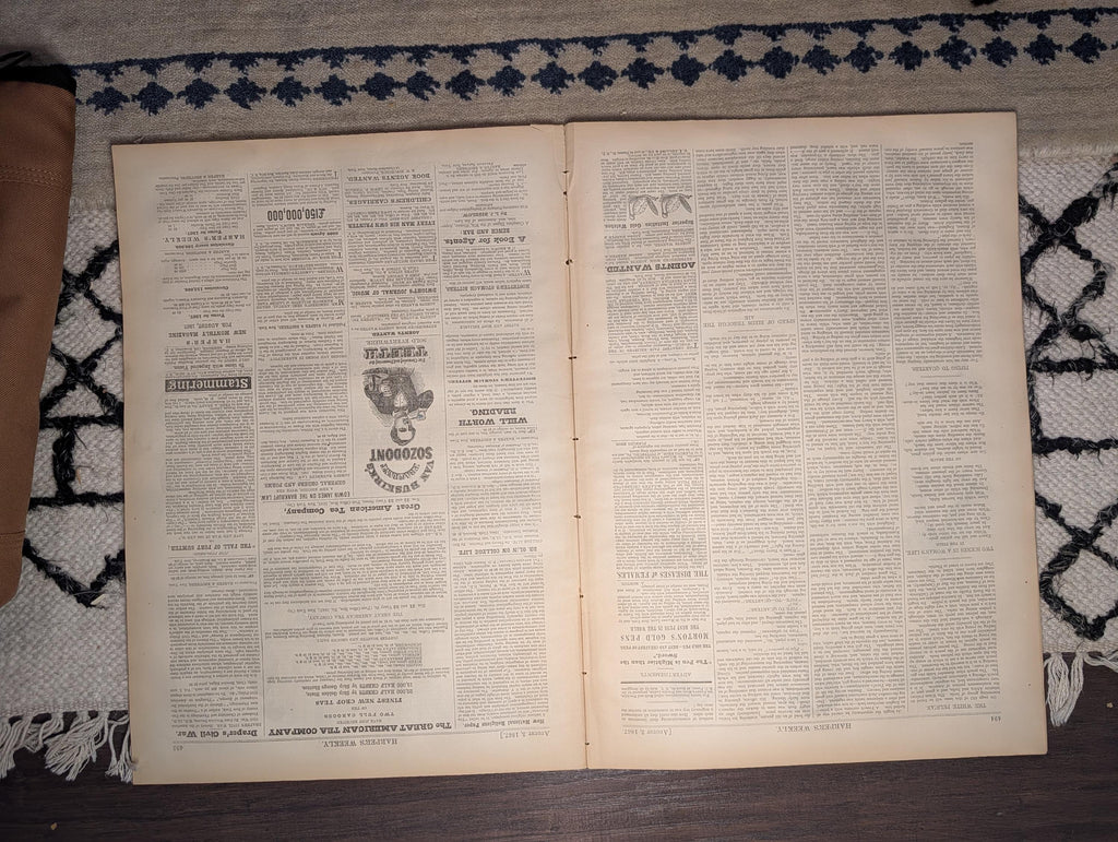 1867 General Custer Sioux Stampede, Black Emigrants North — Aug 3