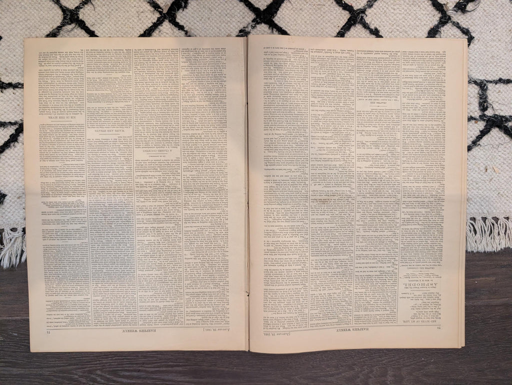 1881 Nast Foreign Encroachment, Prairie Blizzard, Ice Blockade, January Thaw NYC — Jan 29