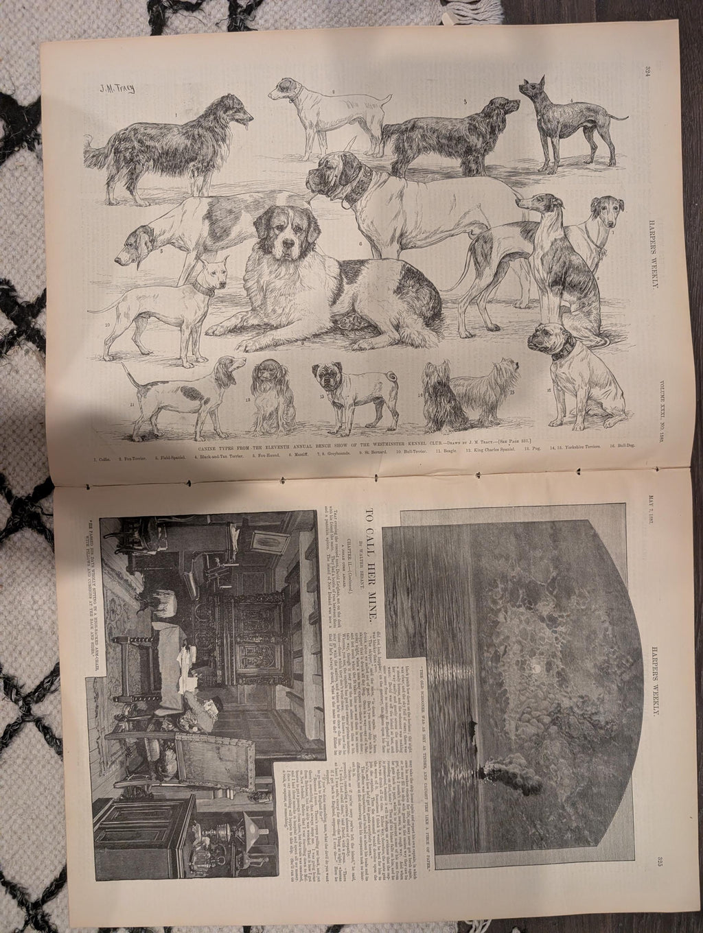 Harper’s Weekly May 7 1887 – Tennessee 1887 Cover, Knoxville Views, Westminster Dogs, Buffalo Dance, Paris Salon