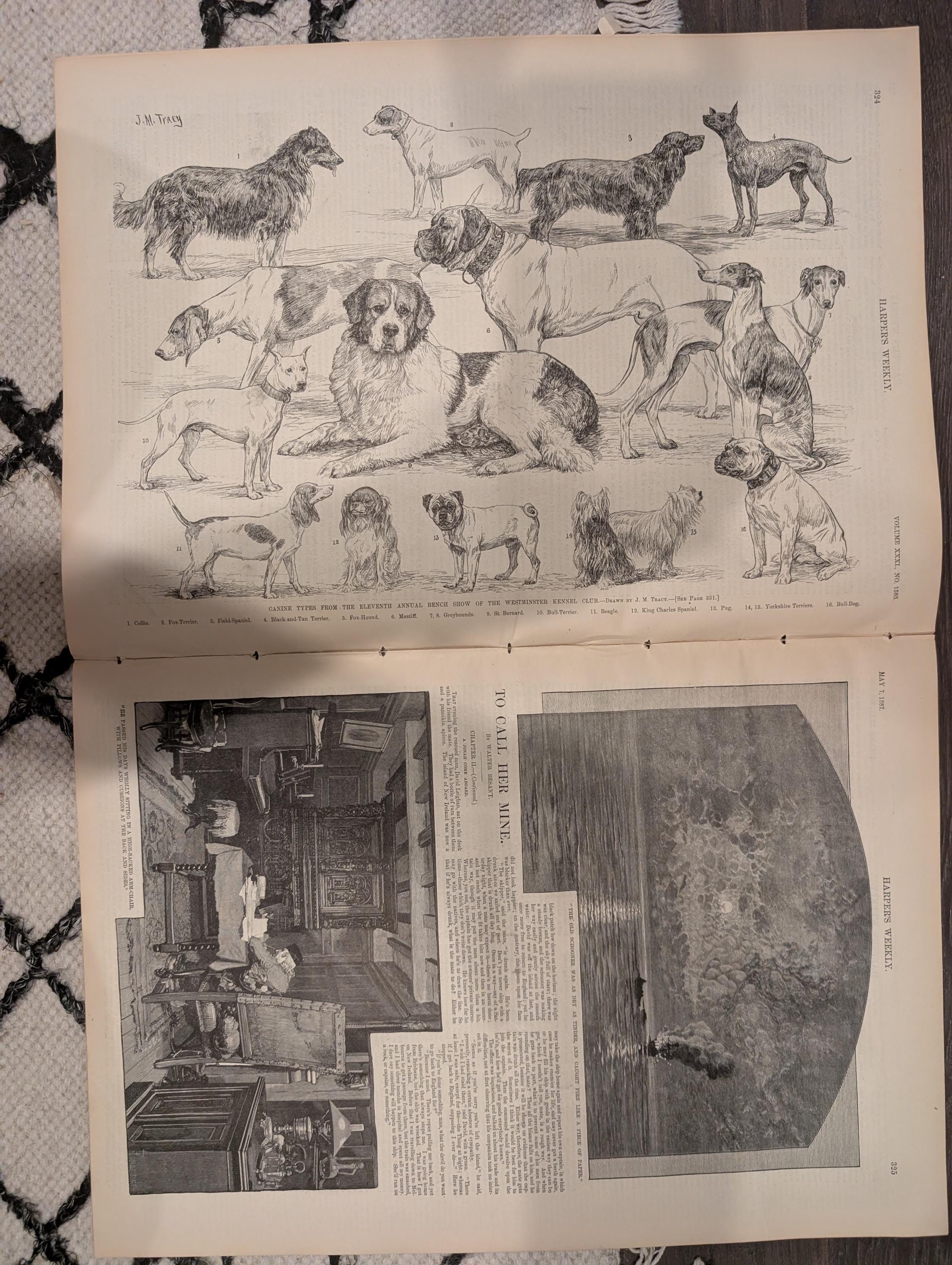Harper’s Weekly May 7 1887 – Tennessee 1887 Cover, Knoxville Views, Westminster Dogs, Buffalo Dance, Paris Salon