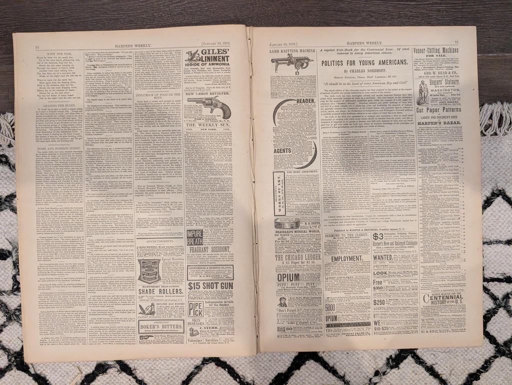 Harper’s Weekly January 22, 1876 – Victorian Engravings, Social History, Tiger Cartoon, Winter Sleigh Scene