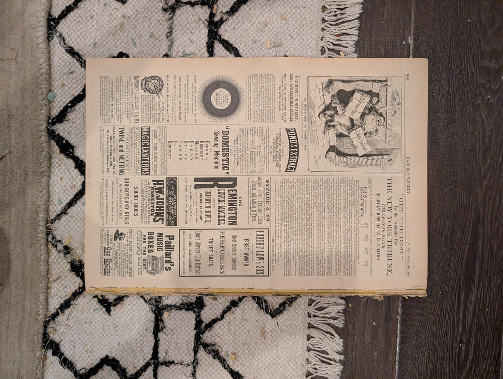 Harper's Weekly 1883 Christmas Morning Dec 29 Soudan War Broadway Blockade