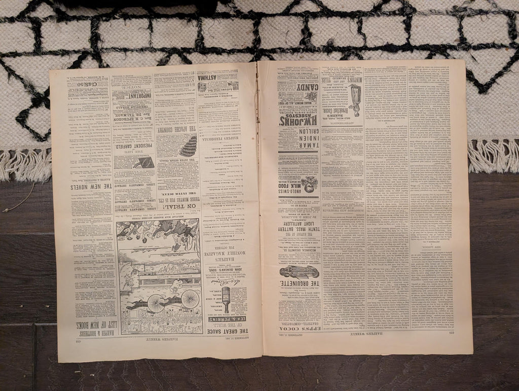 1881 Nast "God Save the President," Garfield's Final Journey, Elberon — Sep 17
