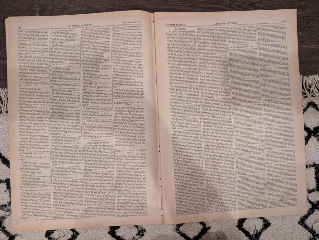 Harper’s Weekly – November 21, 1868 – YMCA Cornerstone • Petroleum Nasby • Adirondack Scenes • Texas Mustangs • Arica Earthquake
