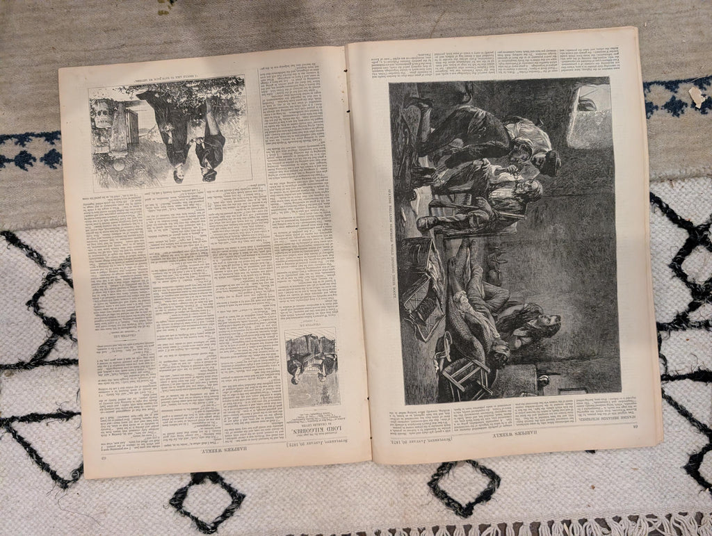 1872 James Fisk Harper's Weekly January 20 Home for Lost Dogs