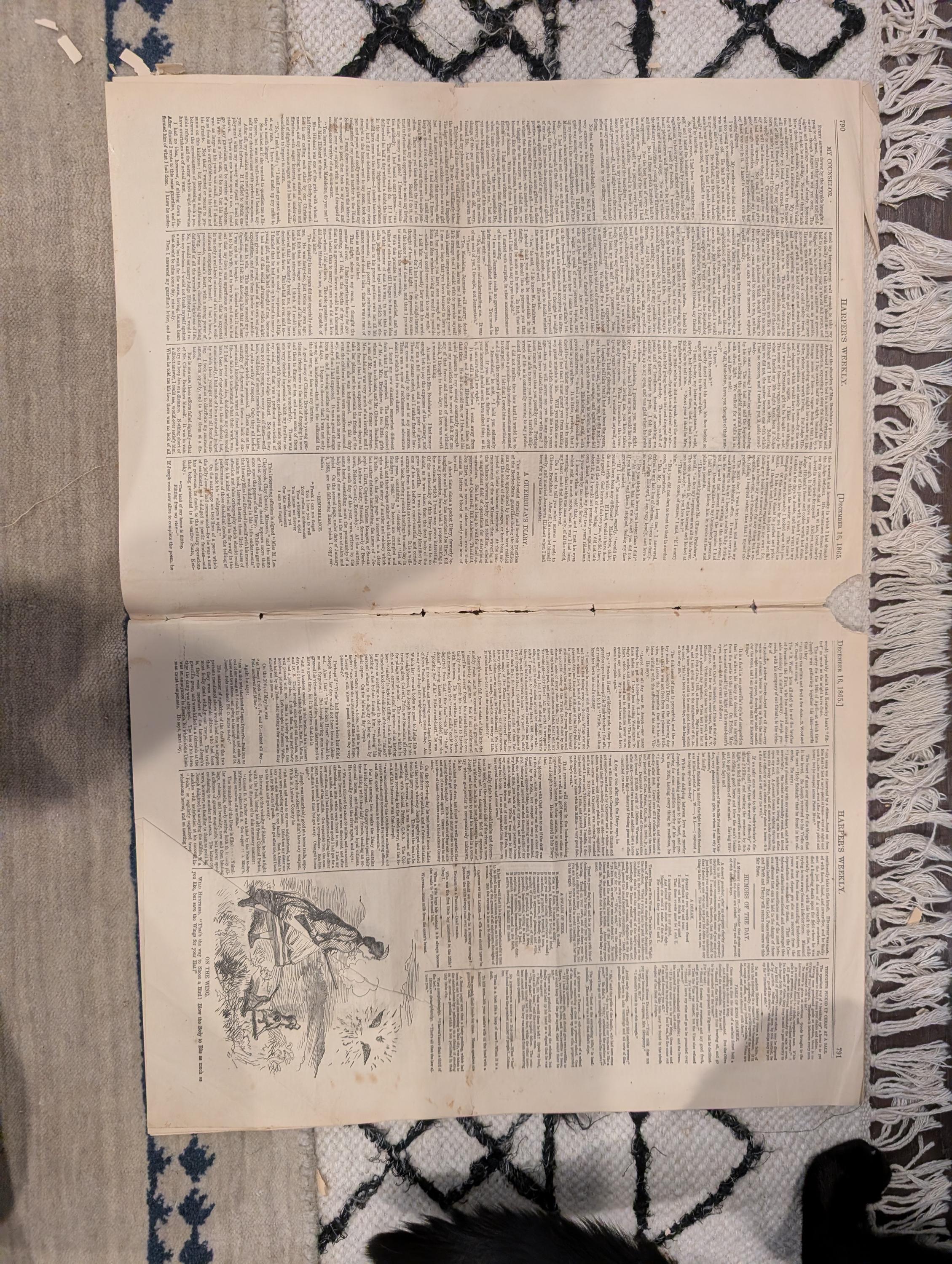1865 Harper's Weekly — Central Park Grand Drive, Brownsville Texas, Dec 16