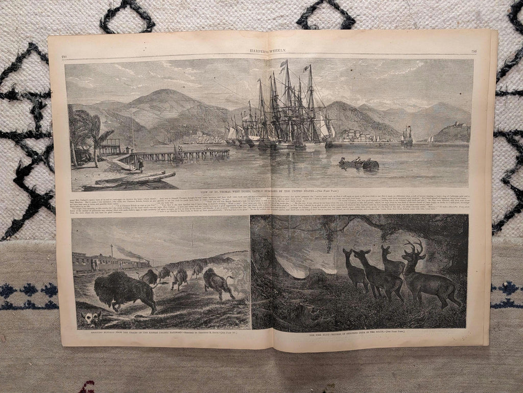 1867 St. Thomas US Purchase, Buffalo Shot from Train, Dickens Farewell — Dec 14