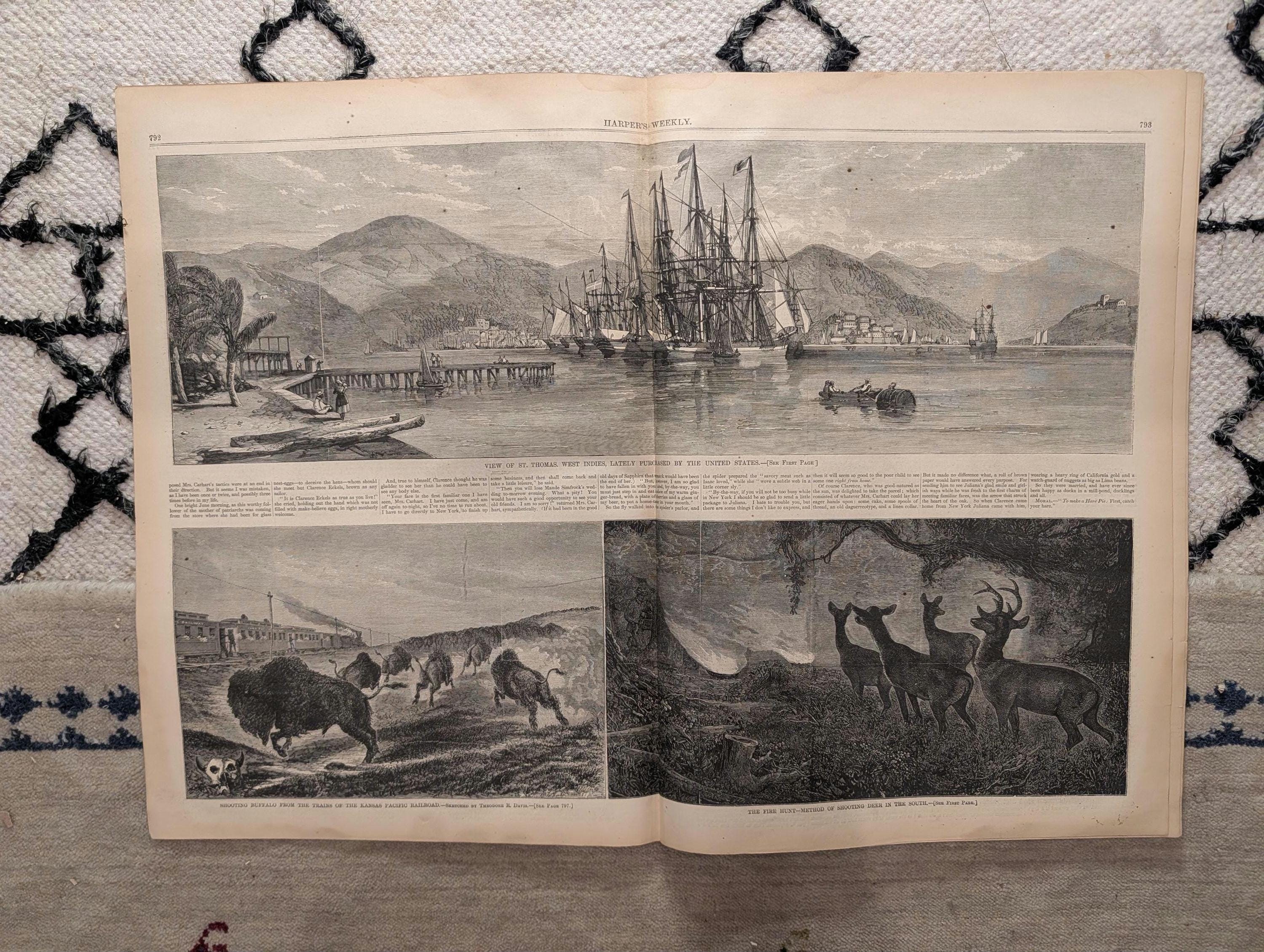 1867 St. Thomas US Purchase, Buffalo Shot from Train, Dickens Farewell — Dec 14