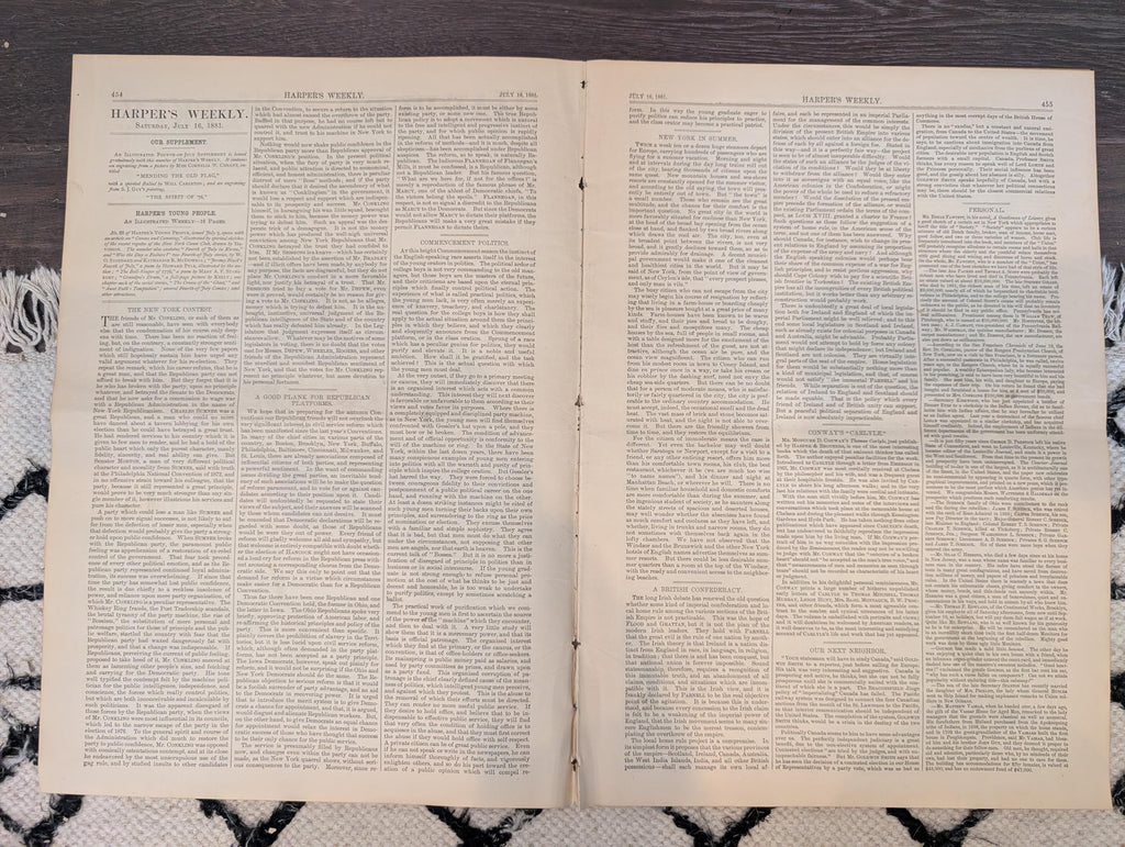 1881 Nast Albany Humiliation, Spirit of '76 Supplement, Rochester Cathedral — Jul 16