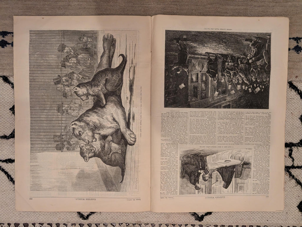 1877 London Workhouse, Schliemann Mycenae, Young Lions, Nast — Apr 28