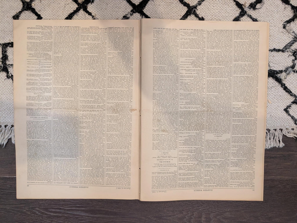 1881 Nast "Ring Out Old Ring in New," New Year's Prosperity Adversity, Nubia Cave — Jan 8