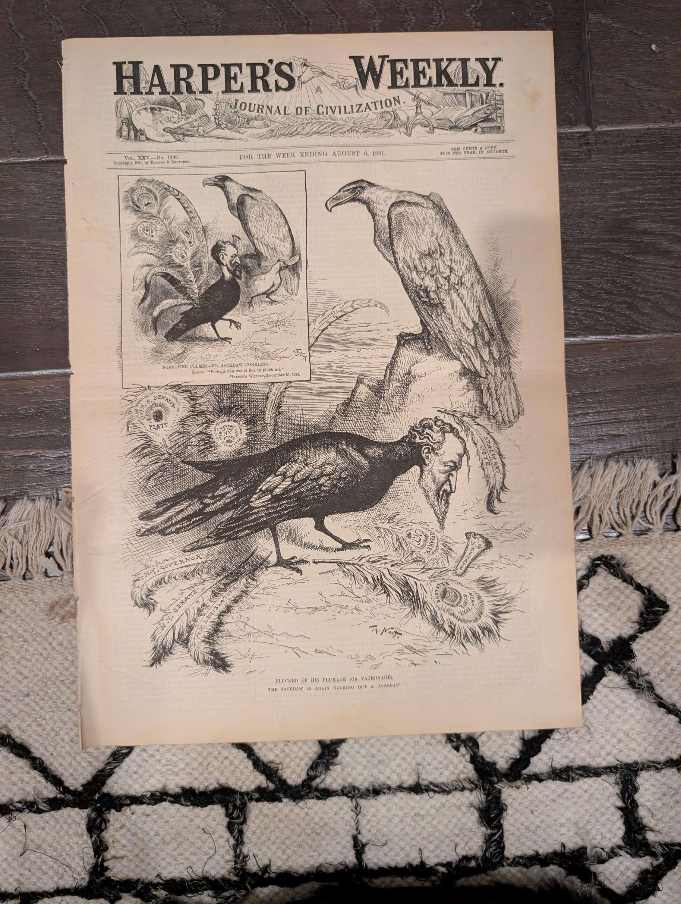 1881 Nast Double, Coney Island Summer, Cyclone Minnesota, Newtown Creek Queens — Aug 6