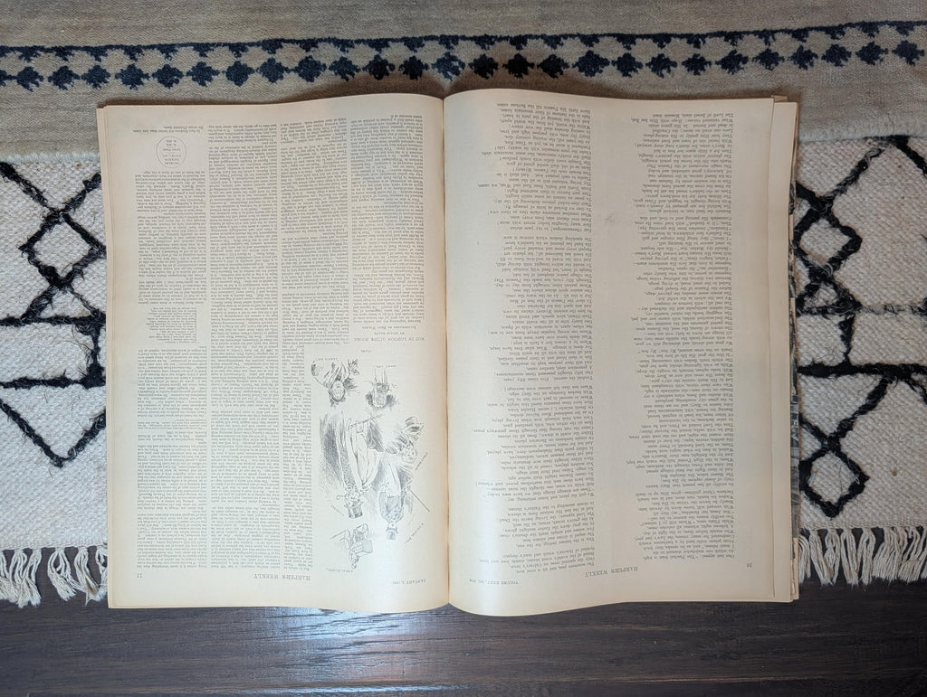 1891 Oberammergau Passion Play, Arlington Bridge Proposed, Justice Brown — Jan 3
