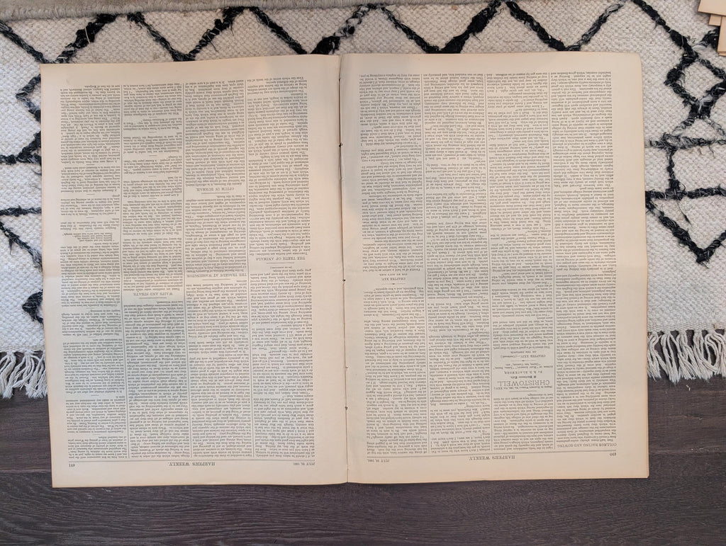 1881 Garfield Assassination Special Edition, Nast "At Liberty's Door," Lincoln — Jul 23