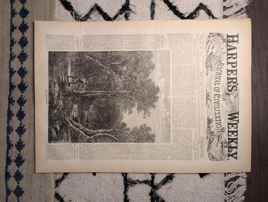 1867 Battle Fort Wallace Cheyenne 7th Cavalry, Central Park Swans — Jul 27